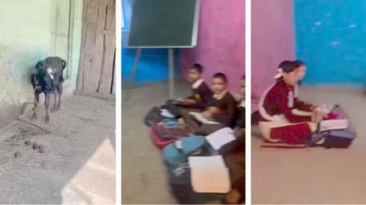 Himachal: Studying in buffalo stables...Villagers playing lute for school building