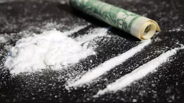 Solan police caught the chitta smuggler who left the dreaded dog behind the police