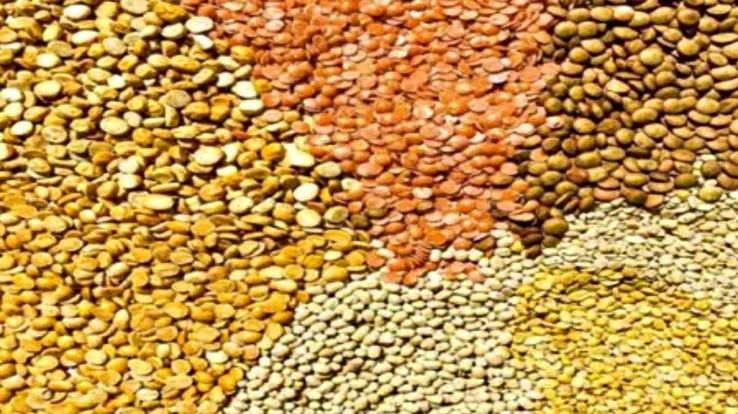 On New Year, three pulses will be available in the depots at this price, you will have to wait for mustard oil.