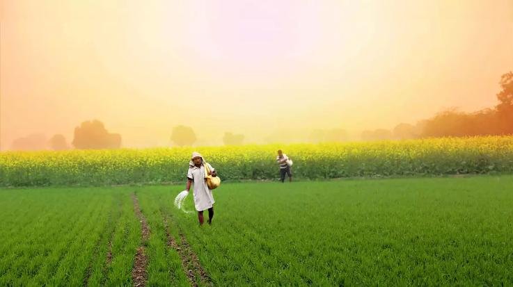 Budget 2025: Loan limit on Kisan Credit Card will be increased from Rs 3 lakh to Rs 5 lakh.