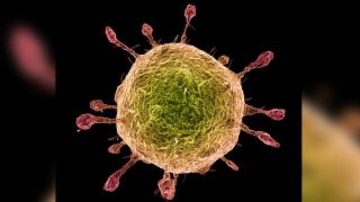 रामपुर शहर में आयोजित की जाने वाली भर्ती रैली स्थगित