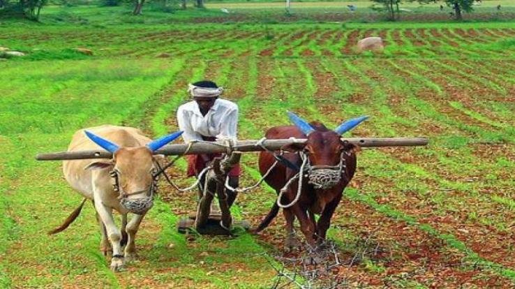 किसानों की सहायता के लिए कृषि हेल्पलाईन आरम्भ 