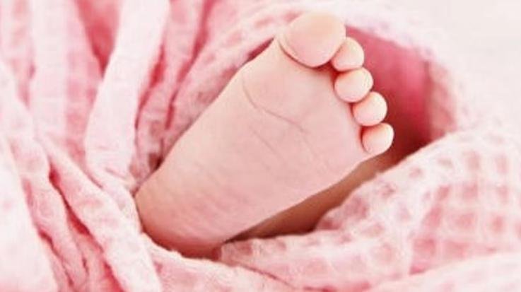 Himachal: Newborn baby tied to a stone and thrown into a pond, police investigating the case