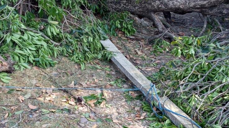 Dada Siba: Power supply disrupted due to heavy storm in Nangal Chowk, two poles broken