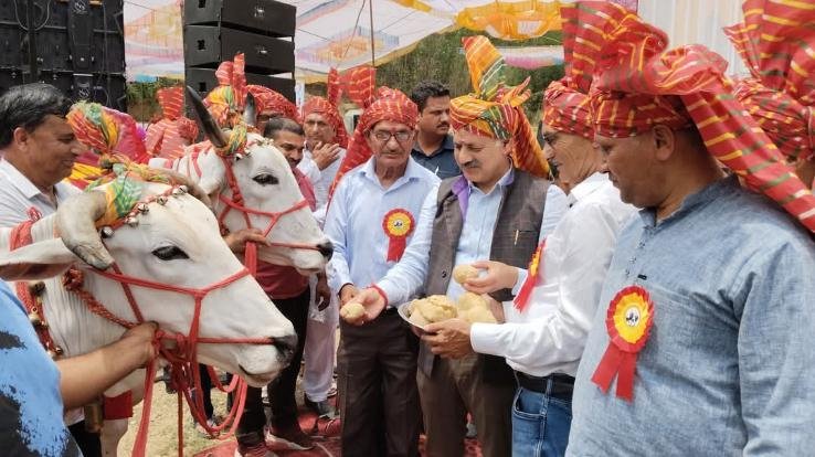 Bilaspur: Minister Rajesh Dharmani inaugurated the Nalwad Fair Morsinghi