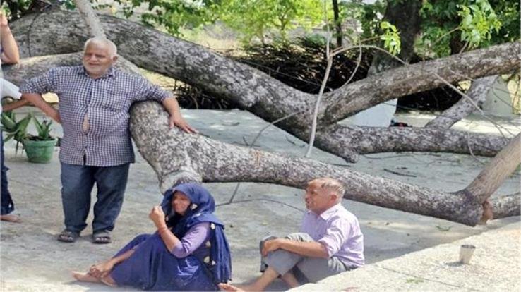 Una; A tree fell on a 14-year-old boy while he was cleaning a temple, he died on the spot