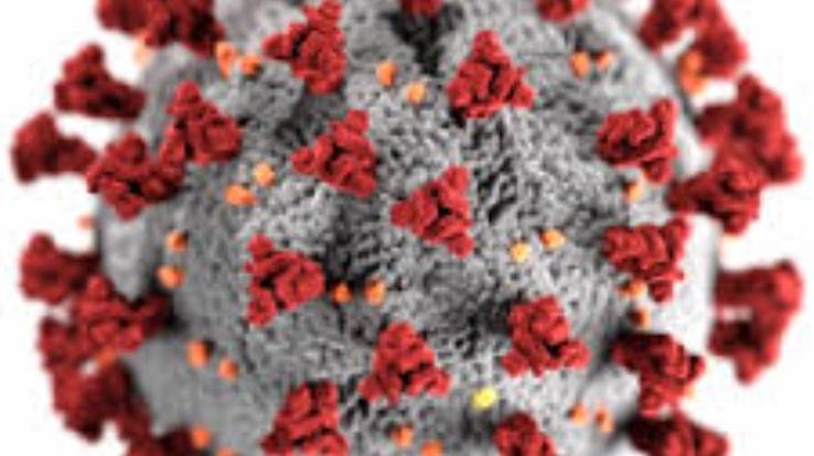 Corona virus again hits the country, active cases cross 4000