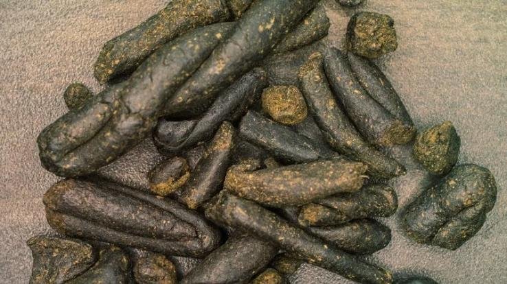 During the blockade in Barmana, a father and daughter travelling in an HRTC bus were arrested with 2 kg 42 grams of hashish