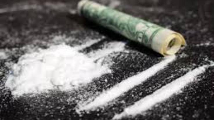 Kangra: 2 youths arrested for chitta smuggling in Sansarpur Terrace, case registered