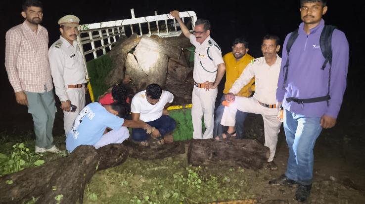 Forest department's vigilance in Nagarota Surian range: Pickup loaded with illegal Khair wood caught