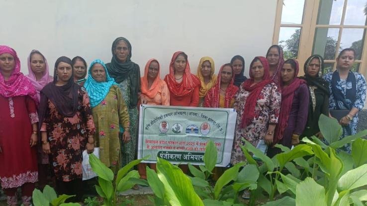  Dehra: Awareness campaign started under Aatma project to promote natural farming