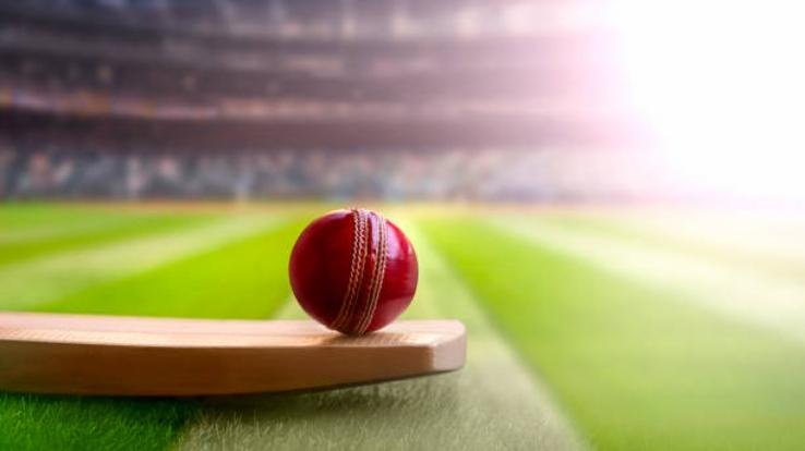 Before India-Pakistan semi-final, sponsor expressed displeasure, EaseMyTrip backed out