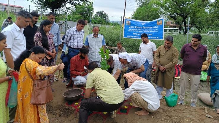  Jwalamukhi: Plantation started under HP project in Jakhota