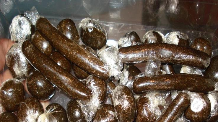 Bilaspur-4-youths-arrested-with-987.4-grams-of-hashish-in-Ghumarwin