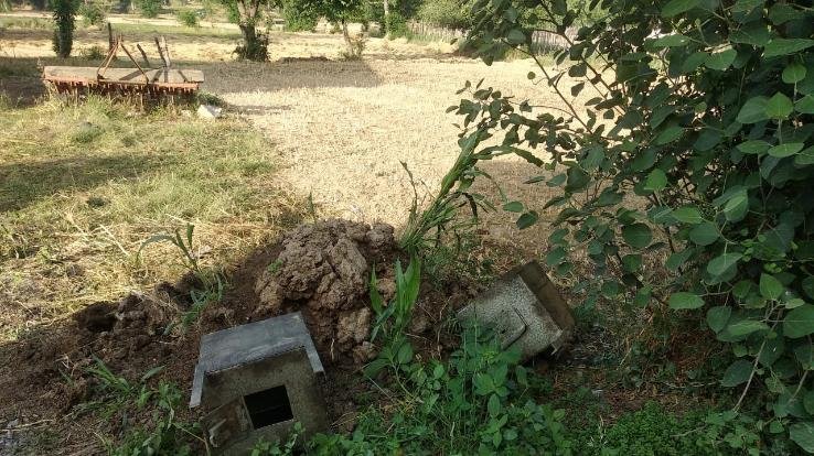 चोरो ने मंदिर को बनाया निशाना, उड़ा ले गए दान पेटी