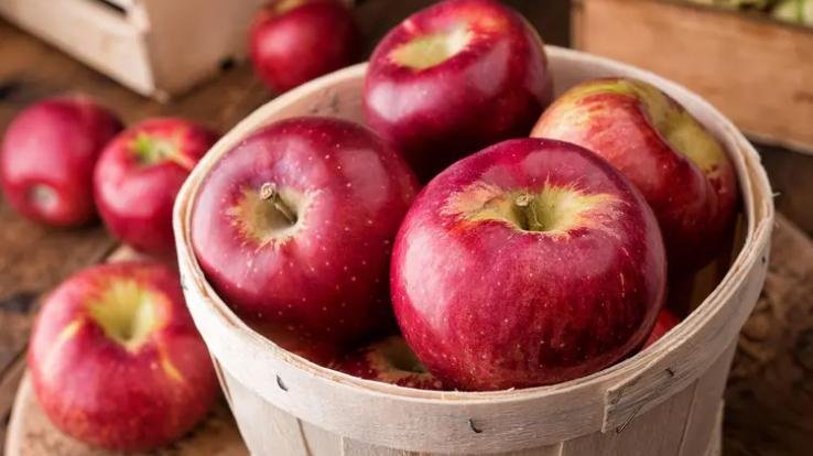 Himachal_Gardeners_angry_over_FTA_with_New_Zealand_will_meet_with_CM_Sukhu_today