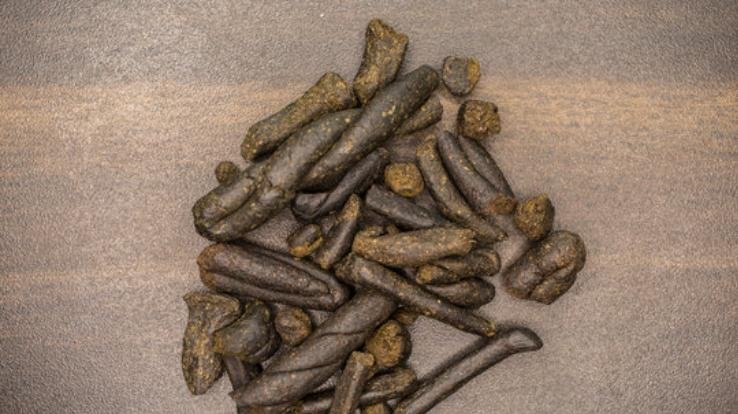 Major police action in Una: Accused arrested with 81.38 grams of hashish