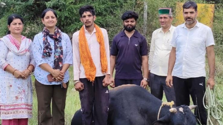 Jwalamukhi: The Republic Trust becomes a lifeline for destitute and suffering cattle.