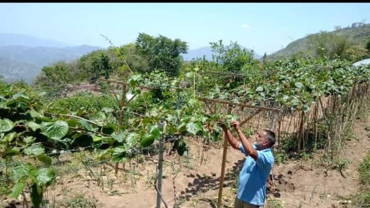 आज का बेरोज़गार युवा इस प्रकार कर सकता है अच्छी कमाई 