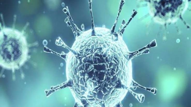 कोविड-19 के दृष्टिगत डयूटी पर तैनात कर्मचारियों को 50 लाख की अनुग्रह अनुदान राशि की अनुमति