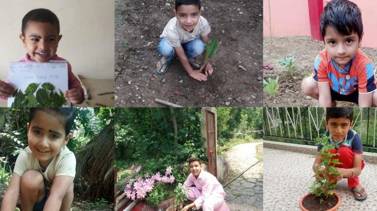 नन्हे मुन्ने बच्चे दे रहे पर्यावरण संरक्षण का संदेश
