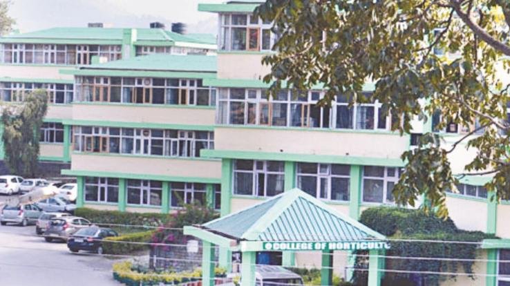 नौणी विवि में प्रकाशन, साहित्यिक चोरी और रिसर्च मेटरिक्स पर वेबिनार का आयोजन