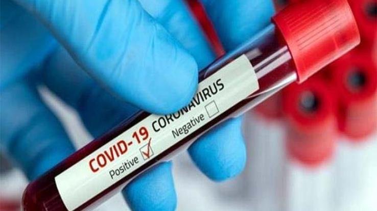 सोलन शहर में एक साथ 6 मामले आए सामने