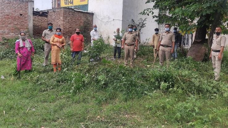 कुनिहार पुलिस ने छेड़ा भांग उखाड़ो अभियान