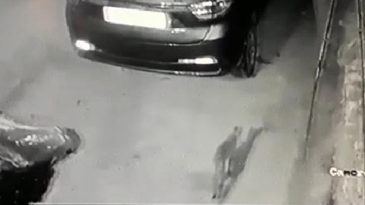 बिलासपुर औद्योगिक क्षेत्र में तेंदुए की आमद से दहशत