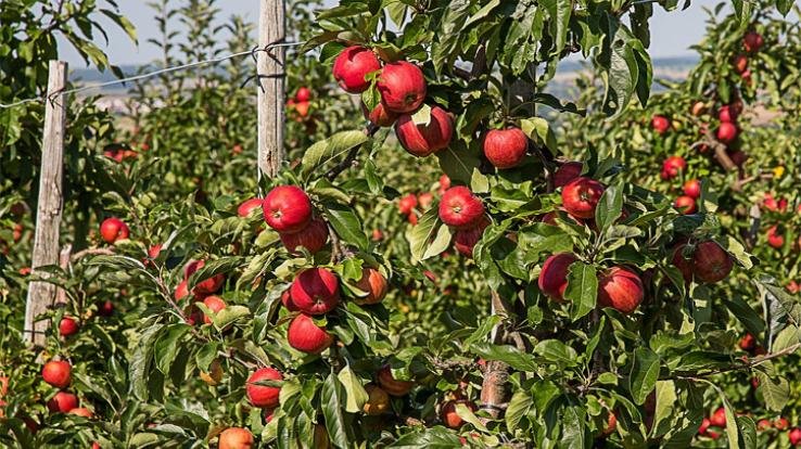 बाहरी राज्यों से आने वाले कामगारों एवं श्रमिकों को ‘वन टाईम’ अंतरराज्यीय प्रवेश की अनुमति