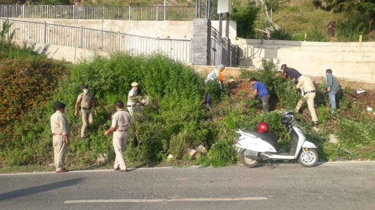 पुलिस थाना दाड़लाघाट ने भांग उन्मूलन कार्यक्रम किया आयोजित 