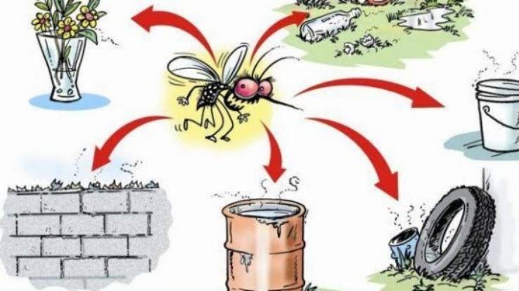 जलजनित एवं अन्य रोगों की रोकथाम के सम्बन्ध में बैठक आयोजित