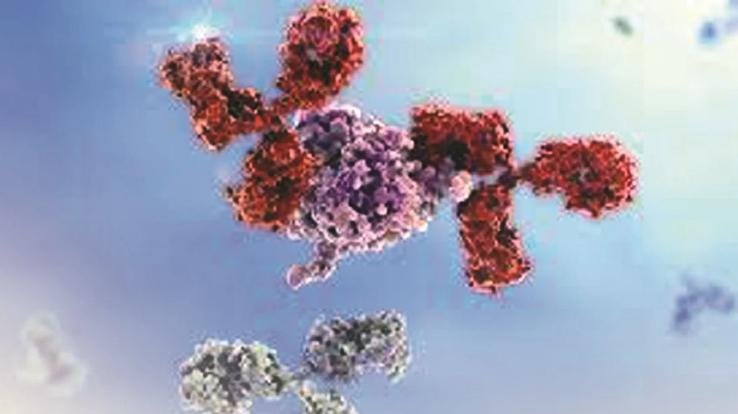 शिमला में आया कोरोना का एक और मामला 