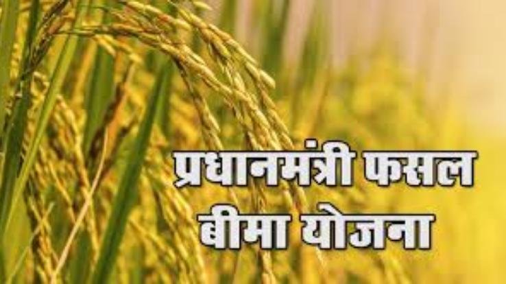 फसल बीमा योजना के तहत बीमा करवाने की अंतिम तिथि 15 जुलाई, 2020 तक निर्धारित