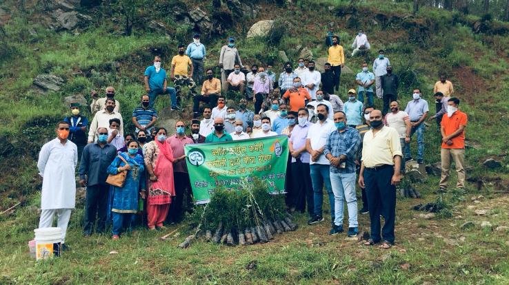 ब्लॉक कांग्रेस कमेटी कसौली ने किया पौधरोपण 