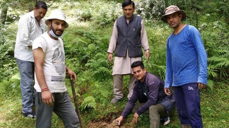 नावर कांग्रेस व नावर युवा कांग्रेस ने टिककर पंचायत में किया पौधरोपण 
