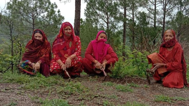 महिला मंडल रहेड़ ने आयोजित किया पौधरोपण कार्यक्रम 