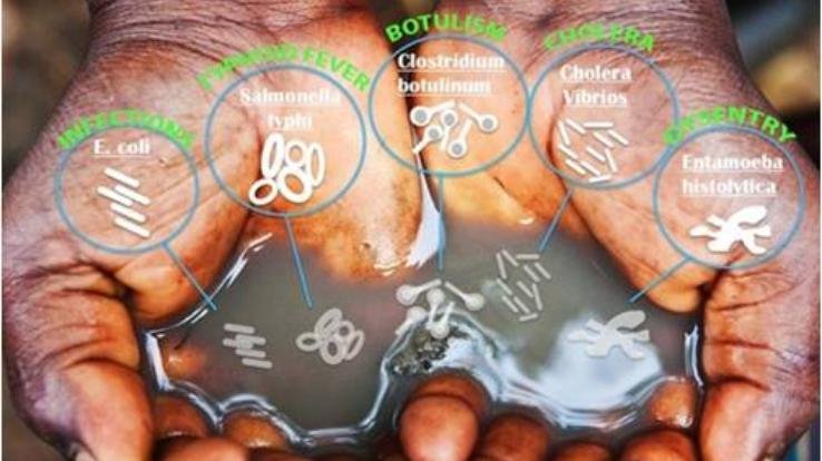 जल जनित रोगों से स्वास्थ्य पर पड़ने वाले दुष्प्रभाव व उनका बचाव