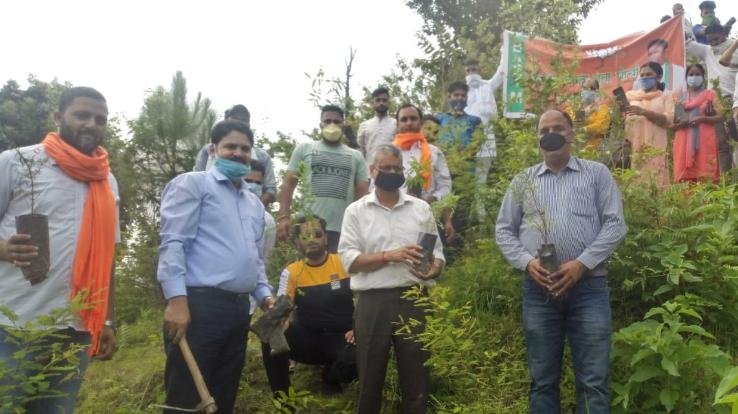 भाजयुमो घुमारवीं ने किया पौधरोपण कार्यक्रम का आयोजन 