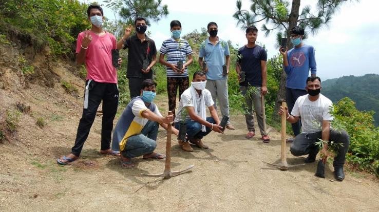 भाजयुमो अर्की ने पौधरोपण कार्यक्रम किया आयोजित 