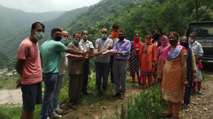 भाजपा युवा मोर्चा अर्की ने आयोजित किया पौधरोपण कार्यक्रम 