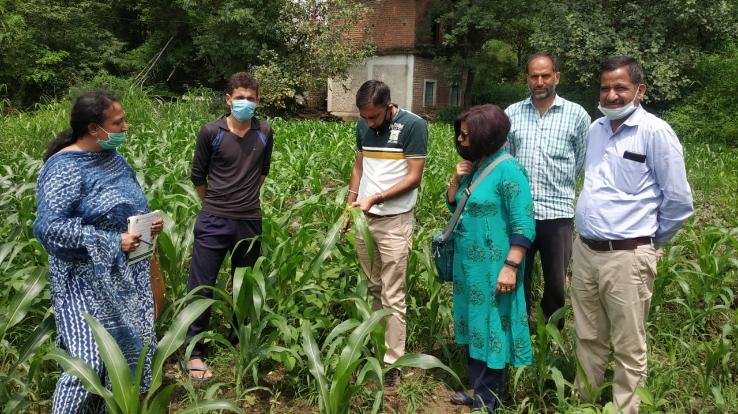 कृषि विज्ञान केंद्र सोलन के वैज्ञानिकों ने कुनिहार खण्ड का किया नैदानिक भ्रमण