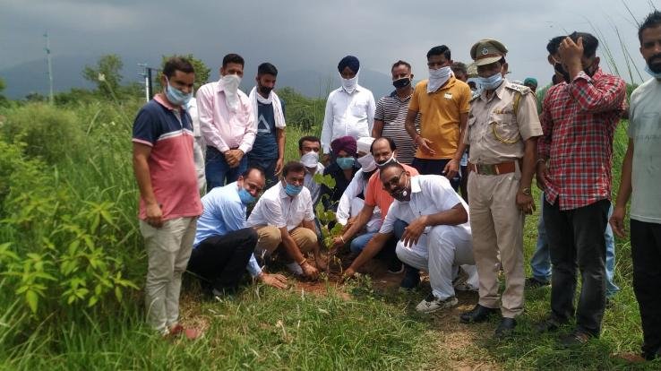 पूर्व विधायक के एल ठाकुर ने ग्राम पंचायत भोगपुर में किया पौधरोपण 