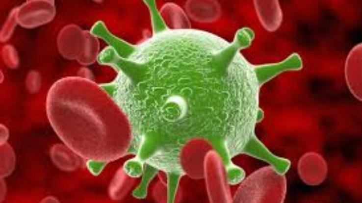 कंडाघाट में आया कोरोना संक्रमण का मामला, नौ दुकानों व बेसन के स्टोर सहित आंगनबाड़ी सेंटर सील