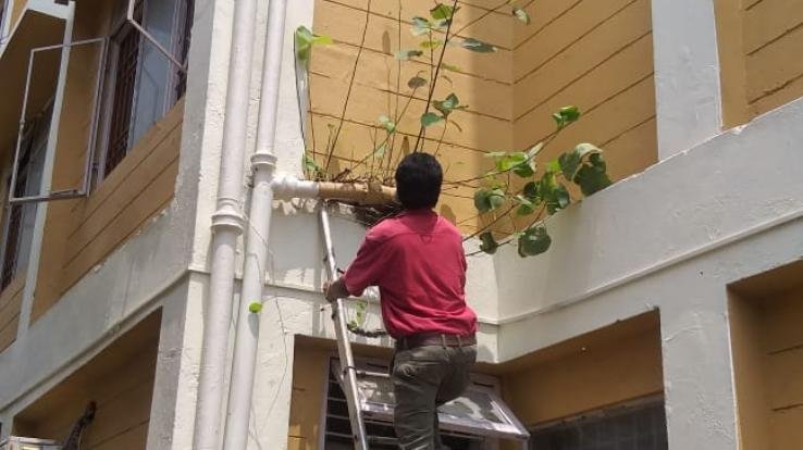 क्षेत्रीय अस्पताल बिलासपुर में सफाई अभियान शुरू 