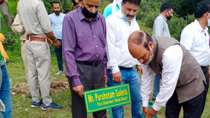 भाजयुमो सोलन द्वारा किया गया पौधरोपण