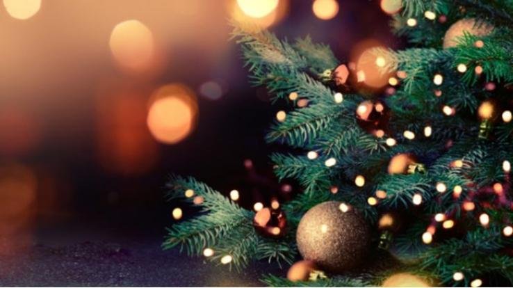 rudra-public-school-celebrates-christmas-online