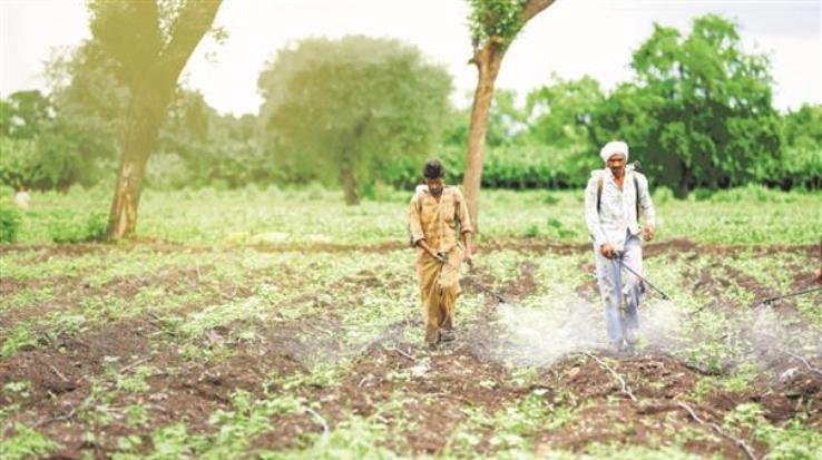 Government-plans-to-improve-farmers-income-by-JICA-Project-2