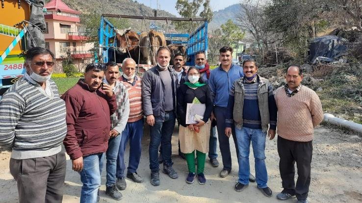 hri Hare Krishna Gau Sadan Malkhumajra Nalagarh left for the destitute animals