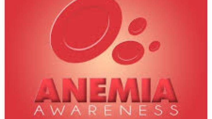 Anemia awareness camp organized